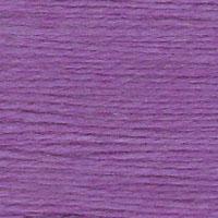 Essentials - Scarab - 752