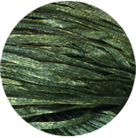 Straw Silk - Prickly Stick - 0422