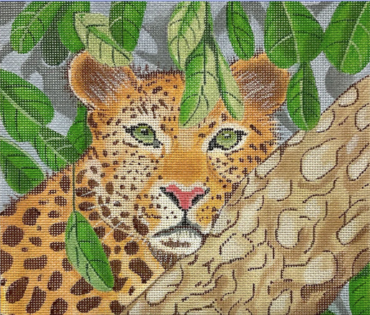 Tree Leopard