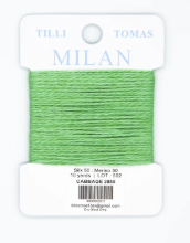 Milan Cards - Cabbage-2855
