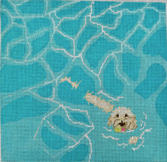 LABRADOODLE POOL FETCH