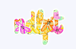 NDLPT Orange and Yellow Sticker - Small