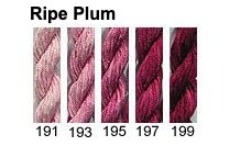 Ripe Plum Family - Gumnut Stars