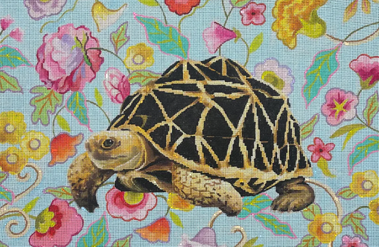 Turtle with Floral Background