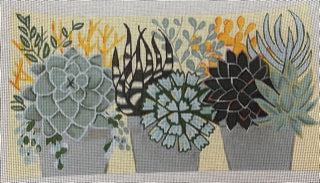 Succulents