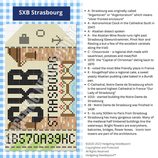 Strasbourg Hedgehog Needlepoint Trunk Show