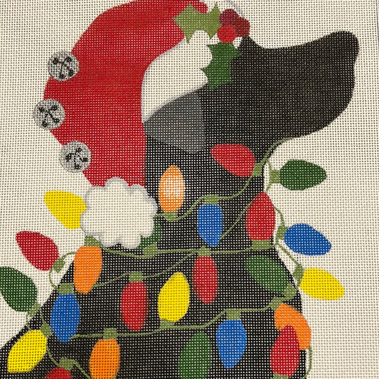 Black lab with lights