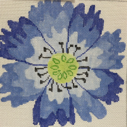 Blue Dazzle Flower