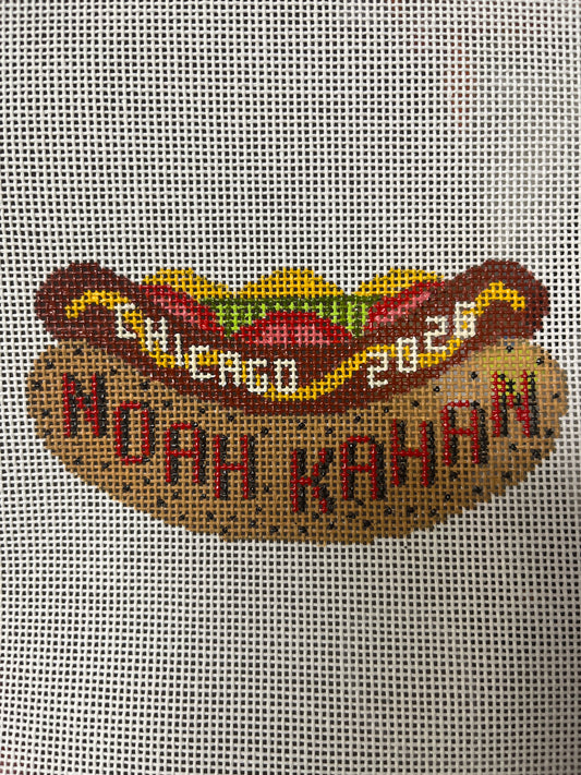 Noah Kahan Chicago Hotdog
