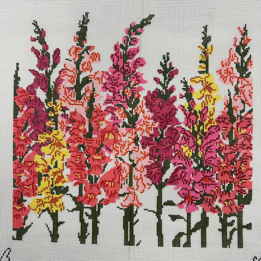 Snapdragons