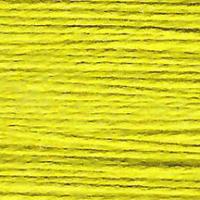 Essentials - Swamp - 827