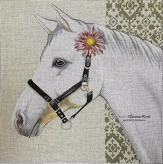 Animals: Equestrian Grey