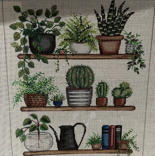 Plants, Plants, Plants
