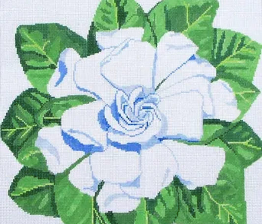 Gardenia