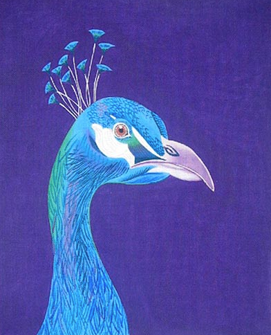 Peacock Portrait