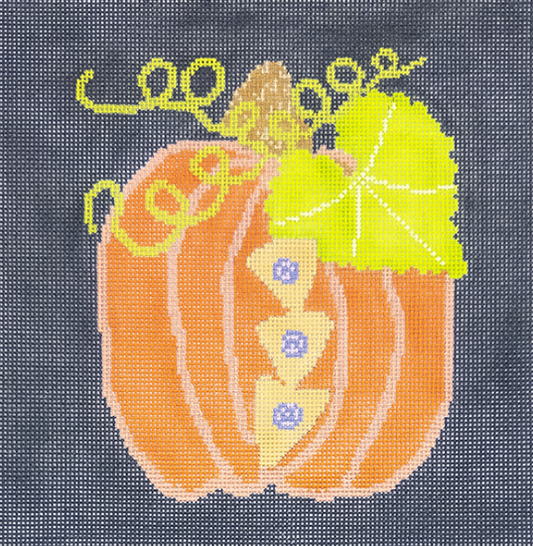 Coral Squash