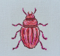 Pink Beetle