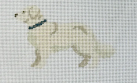 English Cream Golden Retriever