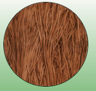 Soie Tissee-Rosy Russet-T-0272