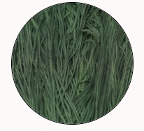Soie Tissee-Loden-T-0485