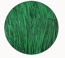 Soie Tissee-Pickleweed-T-0427