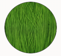 Soie Tissee-Summer Lawn-T-0481