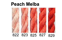 Peach Melba Family - Gumnut Stars