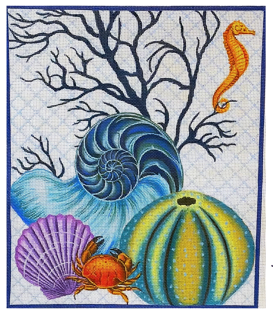Shells with Crab